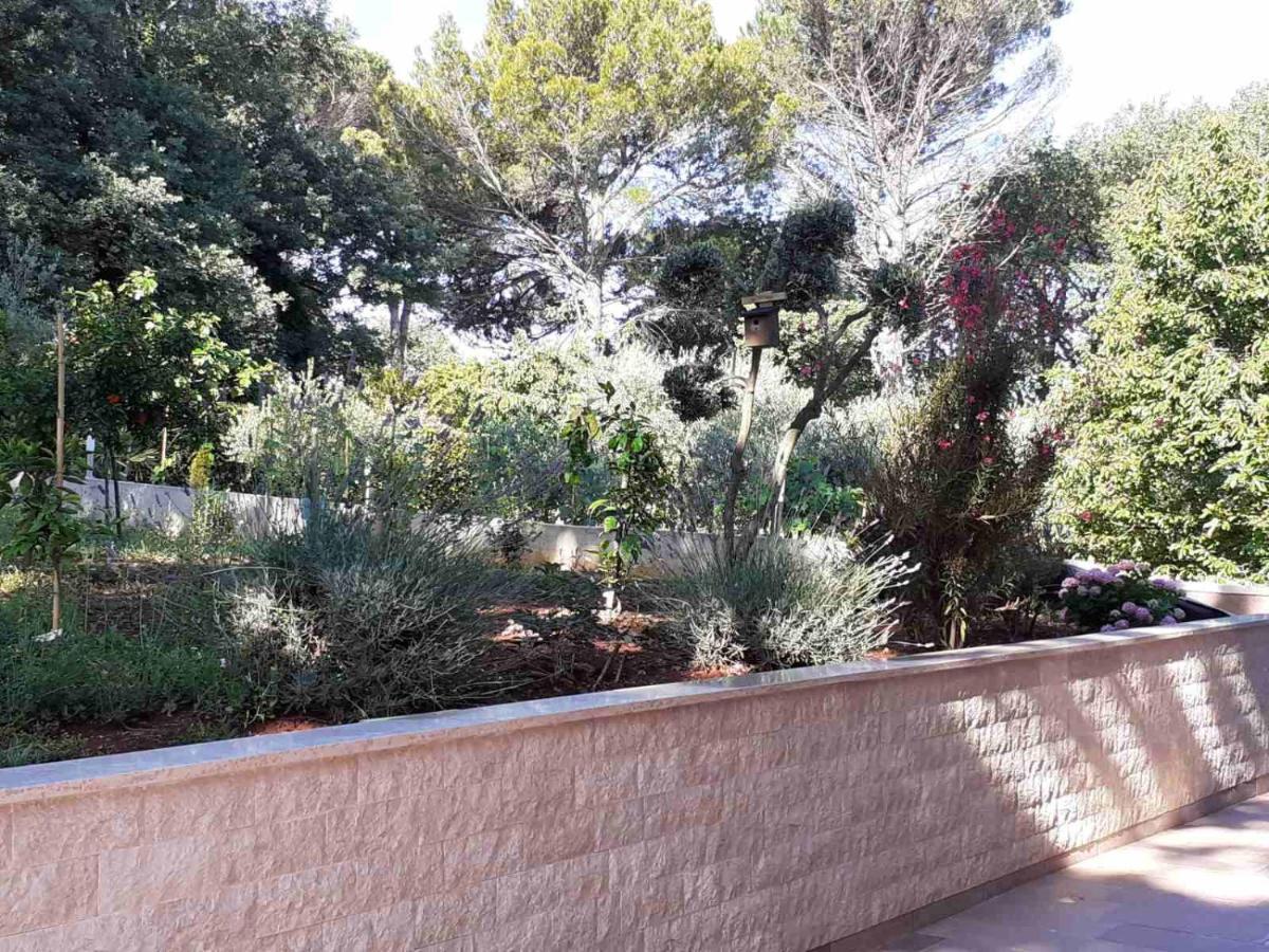 Apartments Marina-Mare Porec Exterior photo